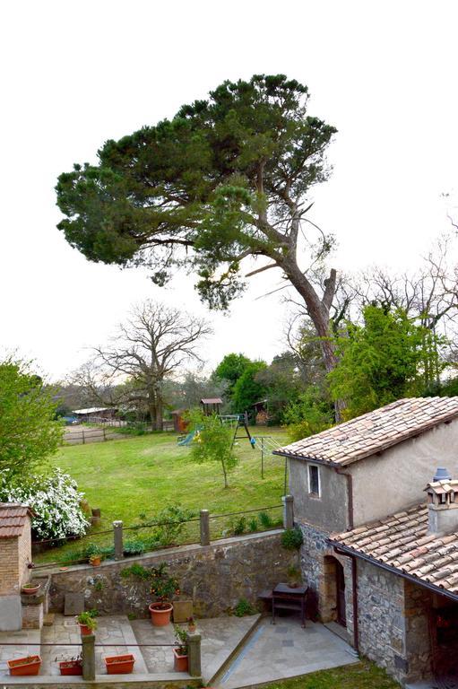 Agriturismo Tenuta Buon Respiro Orvieto Luaran gambar