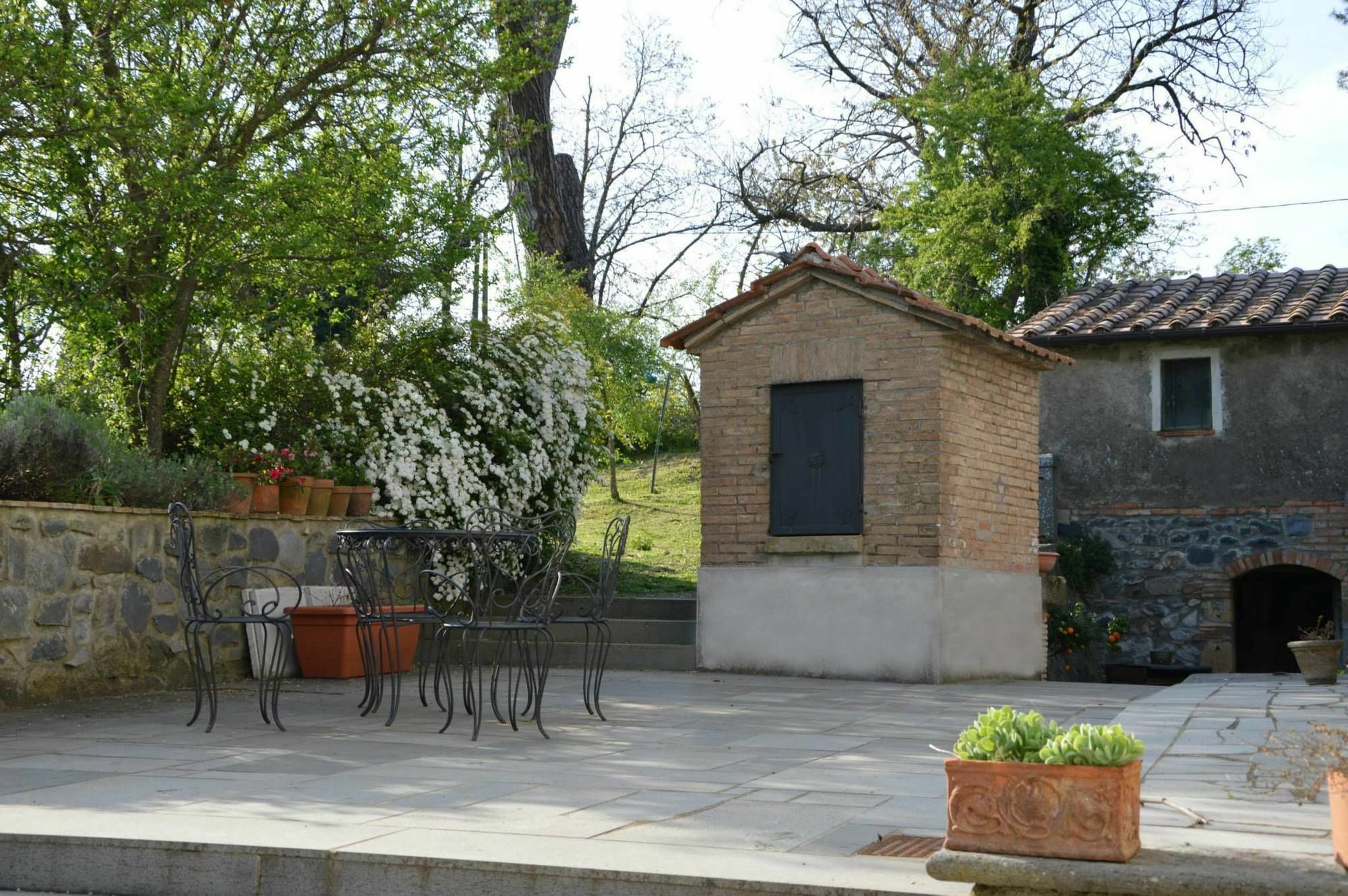 Agriturismo Tenuta Buon Respiro Orvieto Luaran gambar